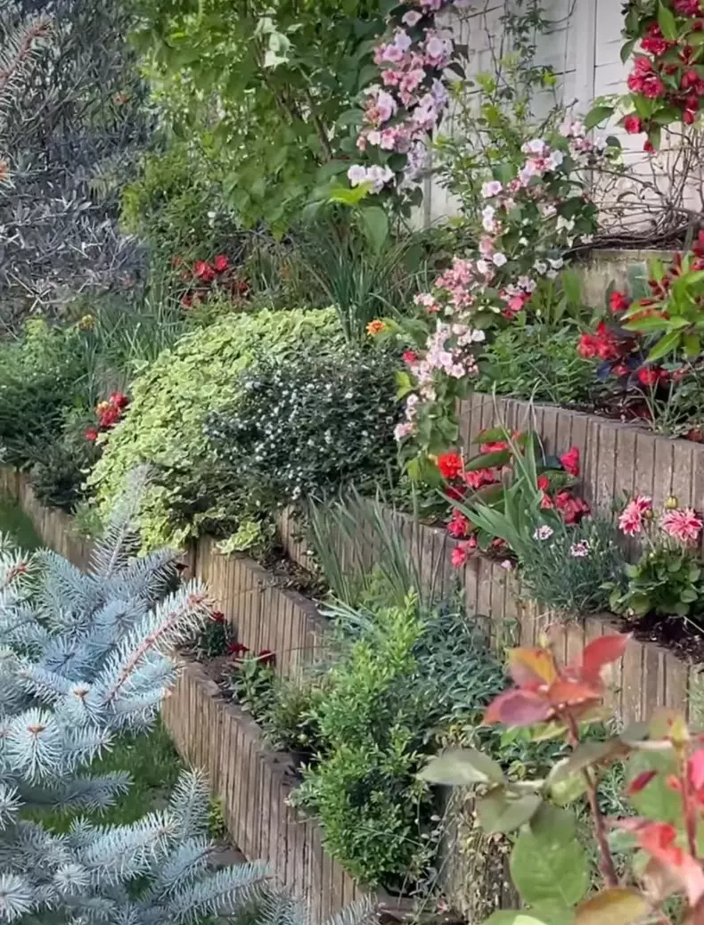 whatsapp-image-2024-05-01-at-14.13.41-2