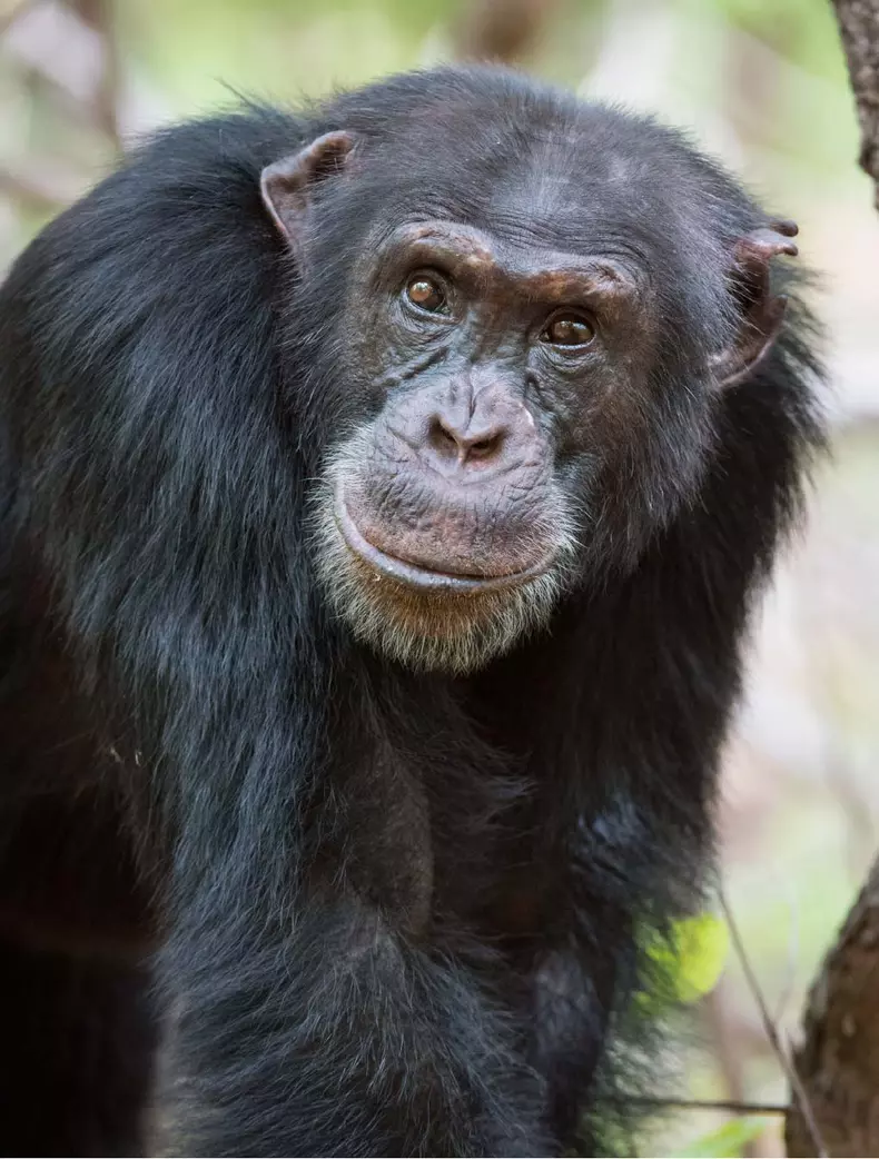 Dynasties_EP_01_001_Press_Pack_Under embargo until 00_01 GMT 20th October