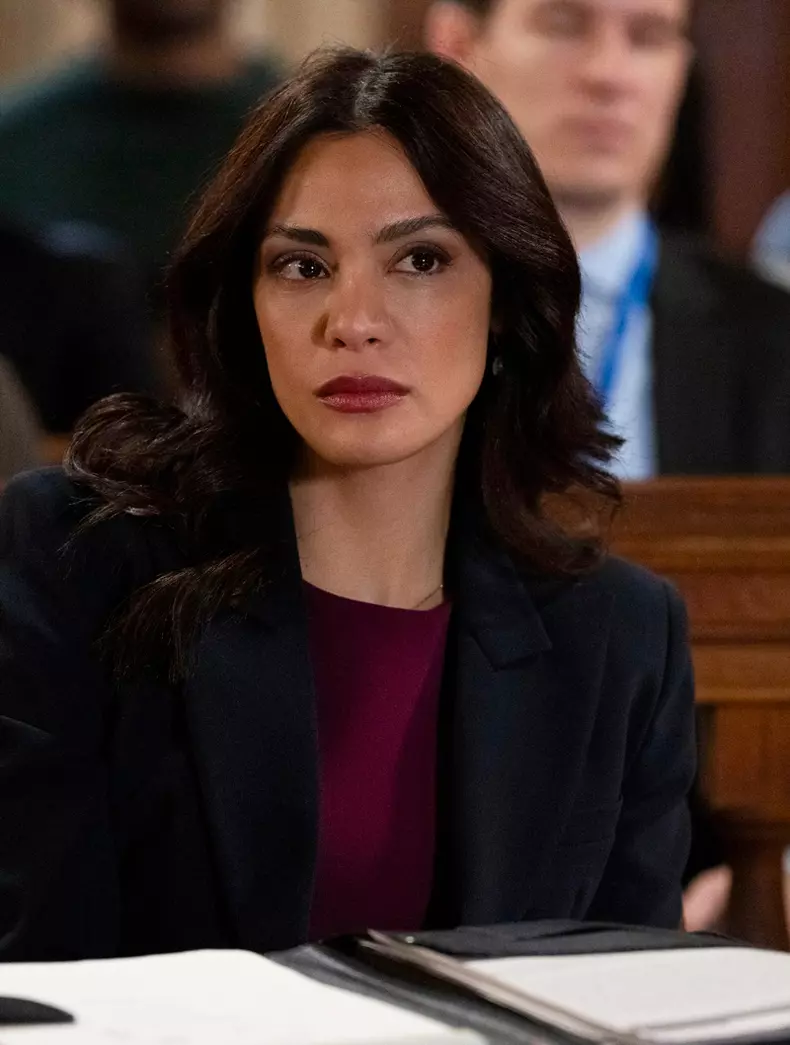 Law & Order – sezonul 23