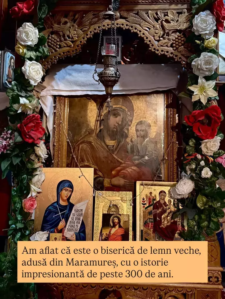 anca-serea-inainte-de-bacul-fiicei-sale-3