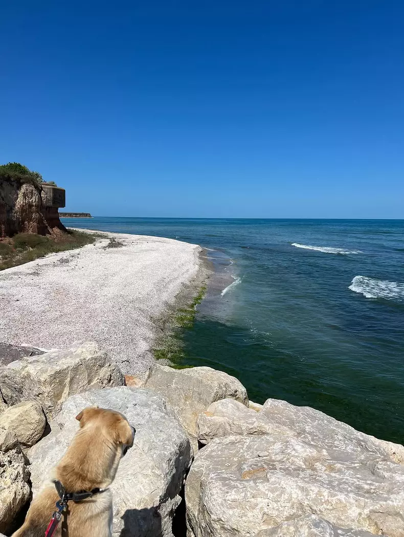 Sânziana Negru și Ștefan Floroaica, escapadă la mare  (5)