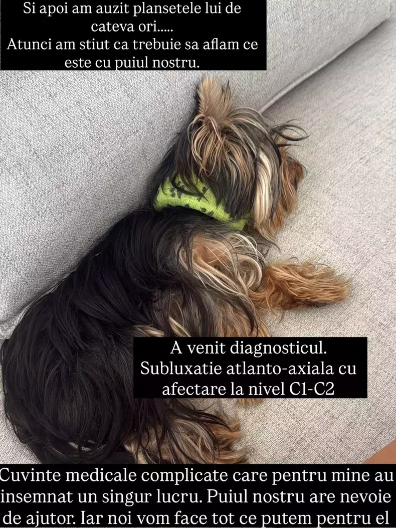 Rutzy 6