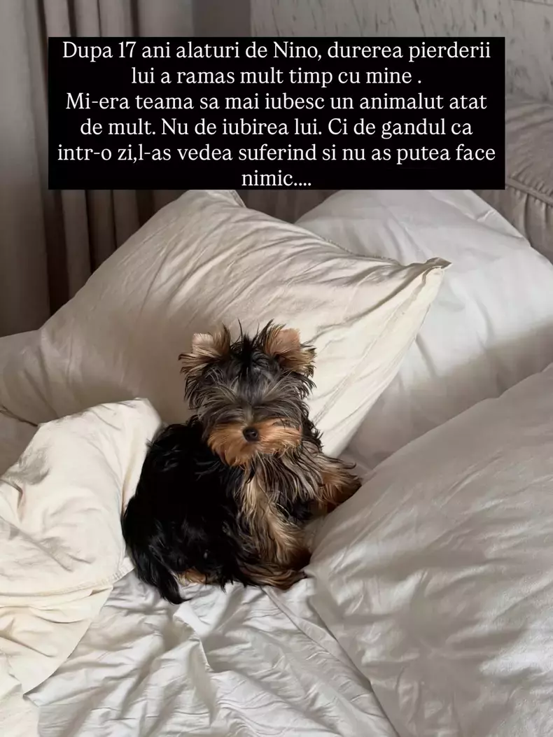 Rutzy