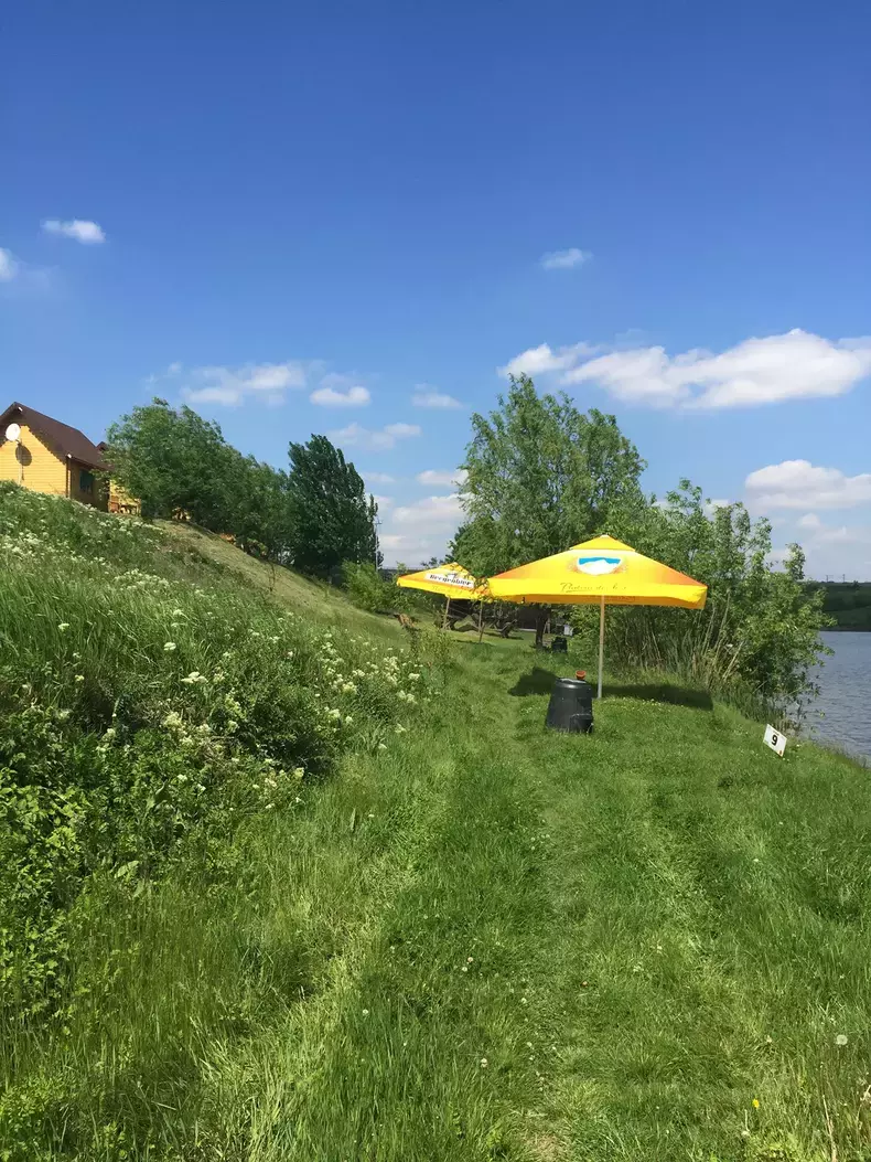 afacerea-deschisa-de-dan-bittman