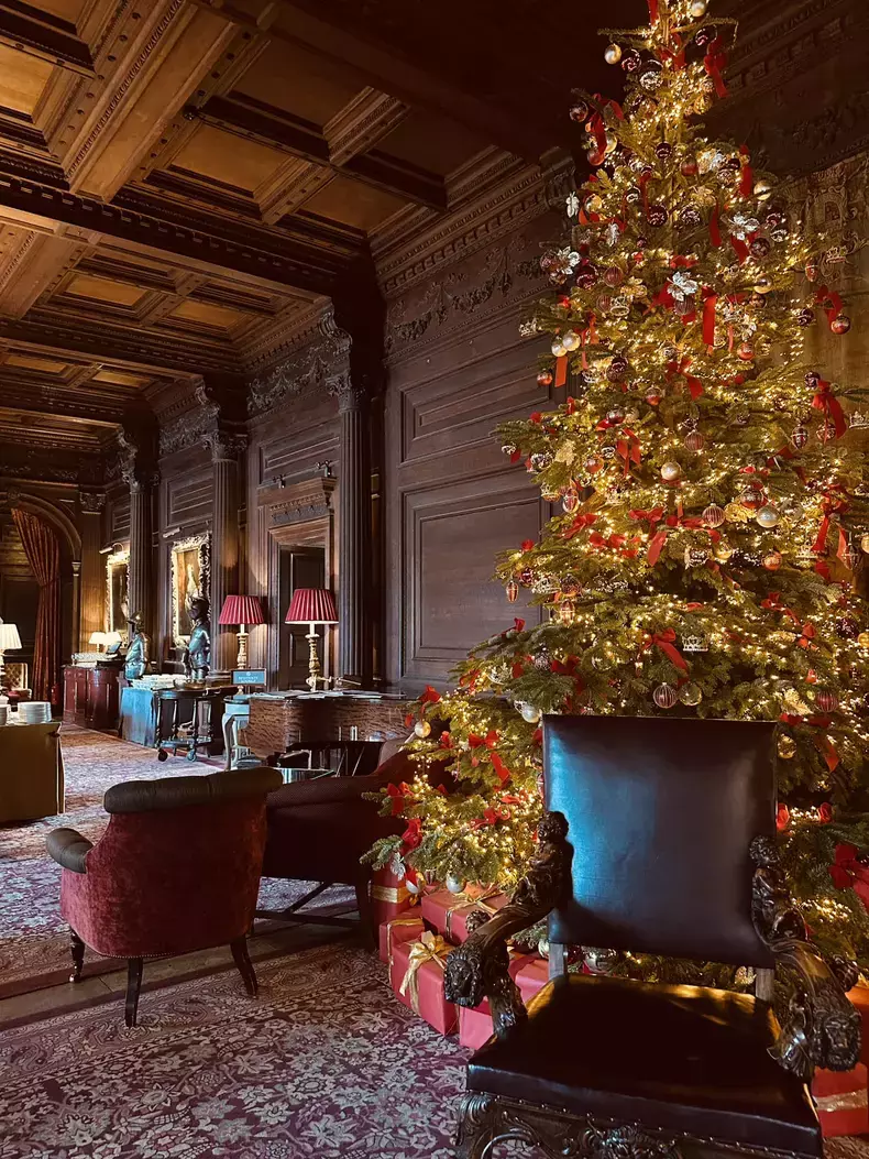 dana-budeanu-revelion-marea-britanie-6