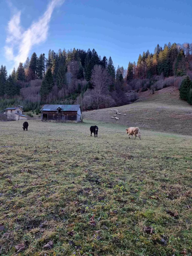 ROventura, 31 decembrie 2022. Descoperiți Gura Humorului, perla turistică a Bucovinei