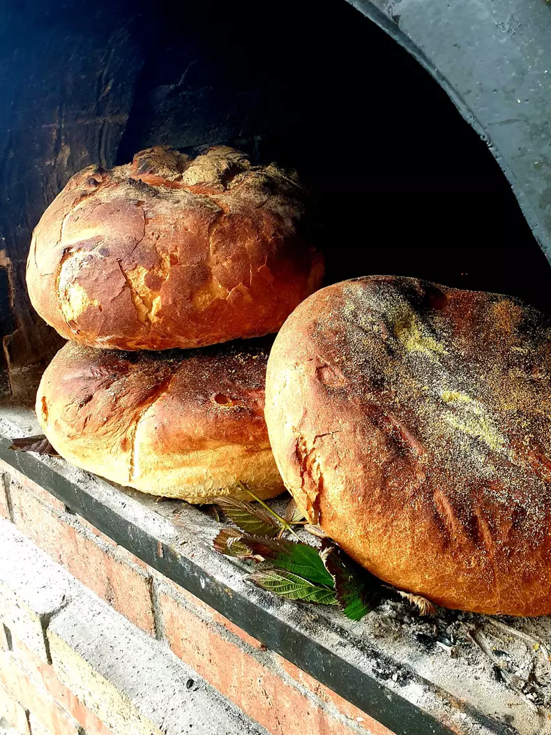 Călătorie la Cerna și Băile Olănești. Echipa ROventura (Kanal D) ajunge și la izvoarele minerale (5)
