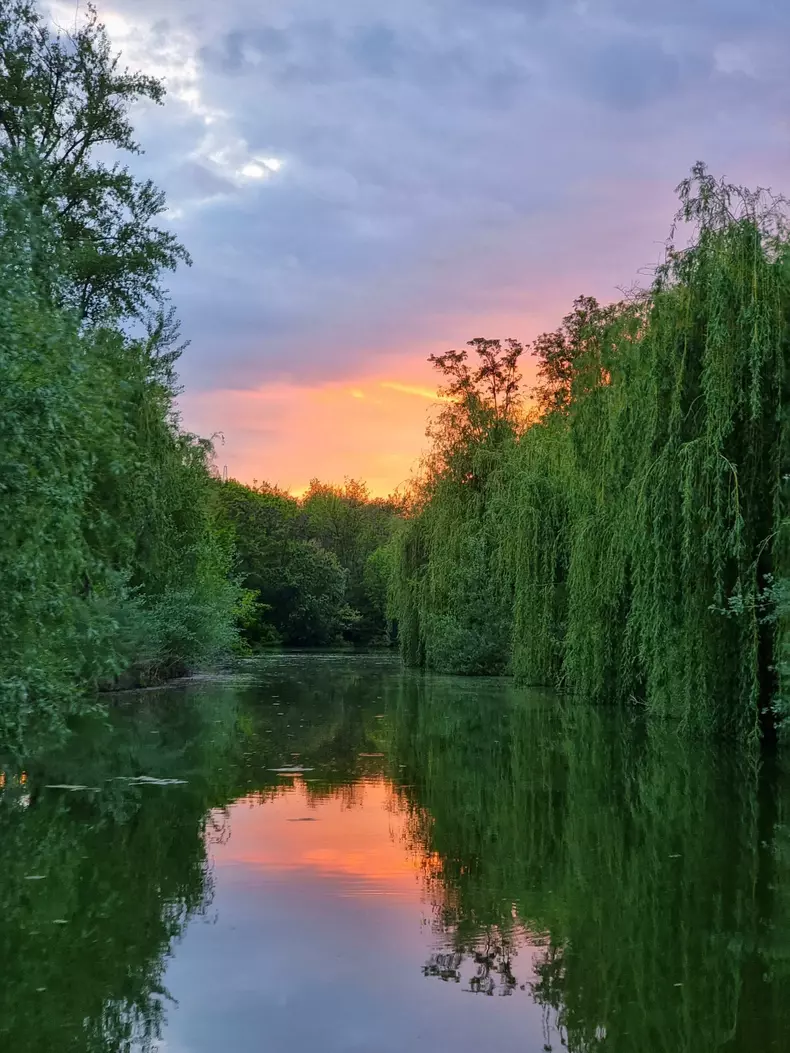 ROventura, 2 iulie 2022. Călătorie în Delta Siretului