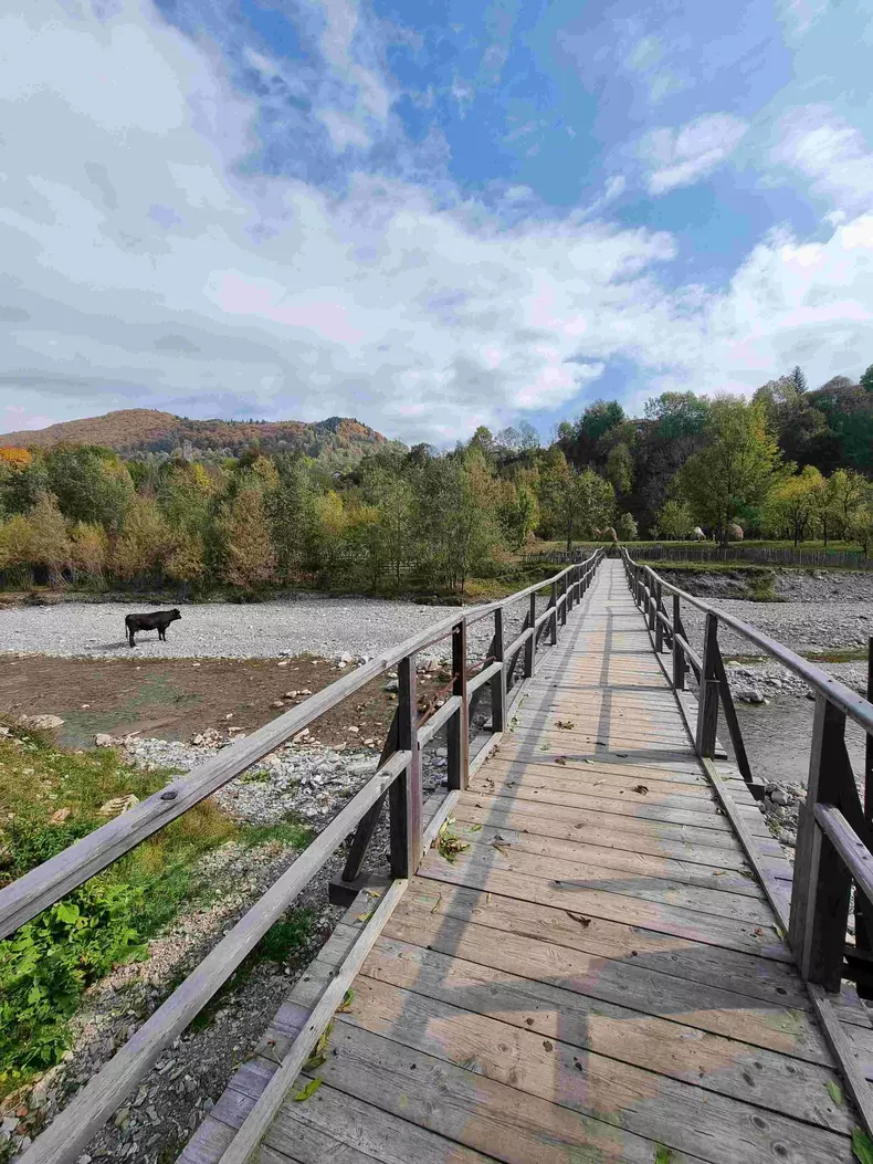 ROventura, 19 noiembrie 2022. Călătorie de poveste pe Valea Doftanei