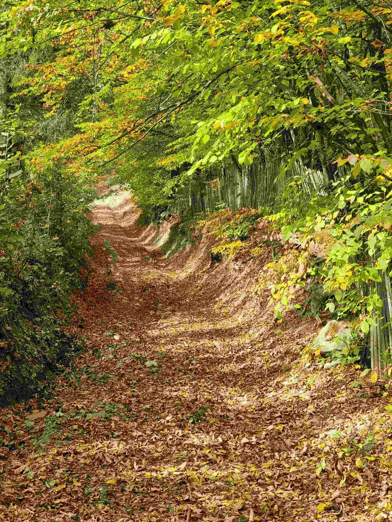 ROventura, 19 noiembrie 2022. Călătorie de poveste pe Valea Doftanei