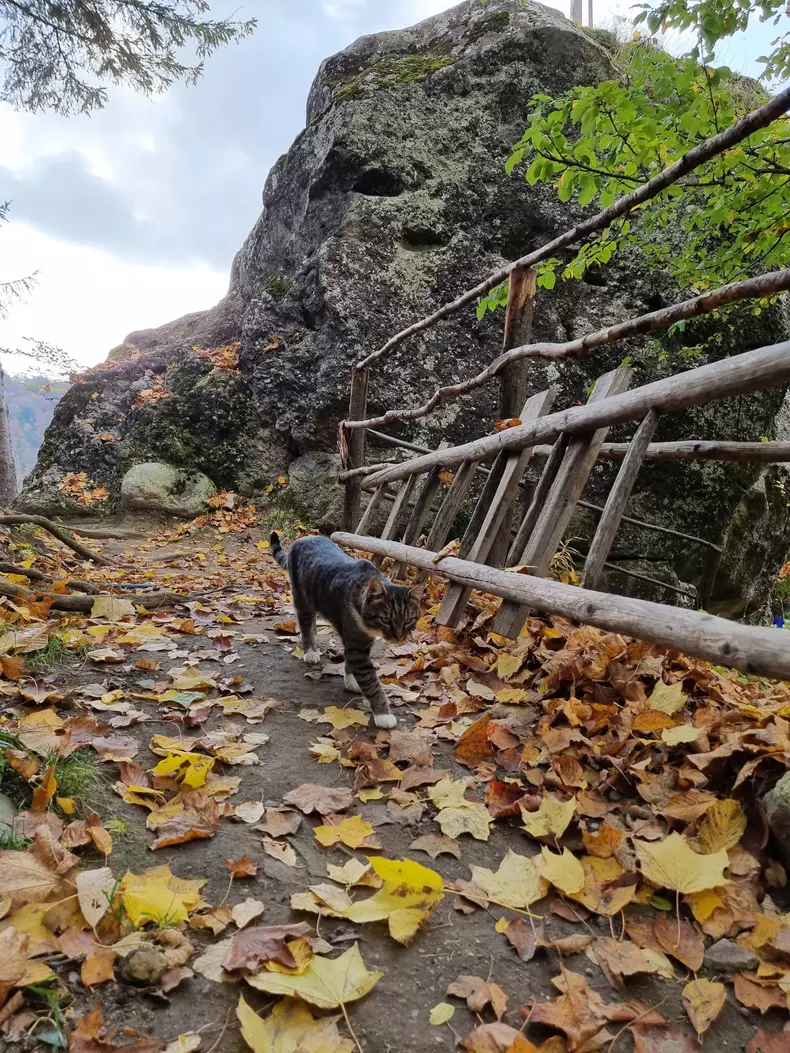 ROventura, 17 decembrie 2022. Incursiune de poveste pe plaiuri muscelene