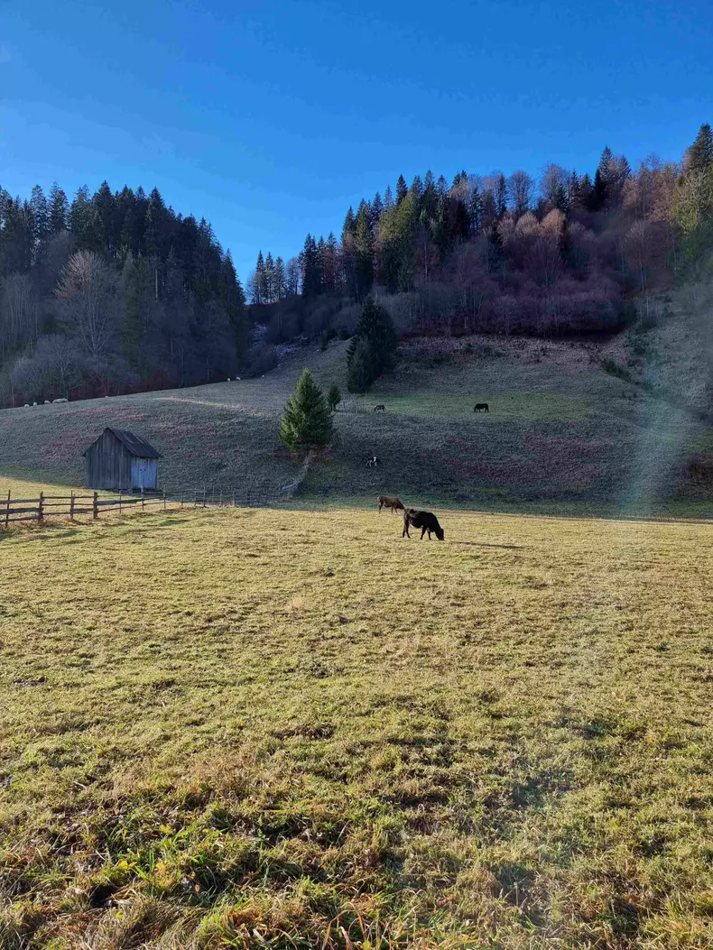 ROventura, 31 decembrie 2022. Descoperiți Gura Humorului, perla turistică a Bucovinei