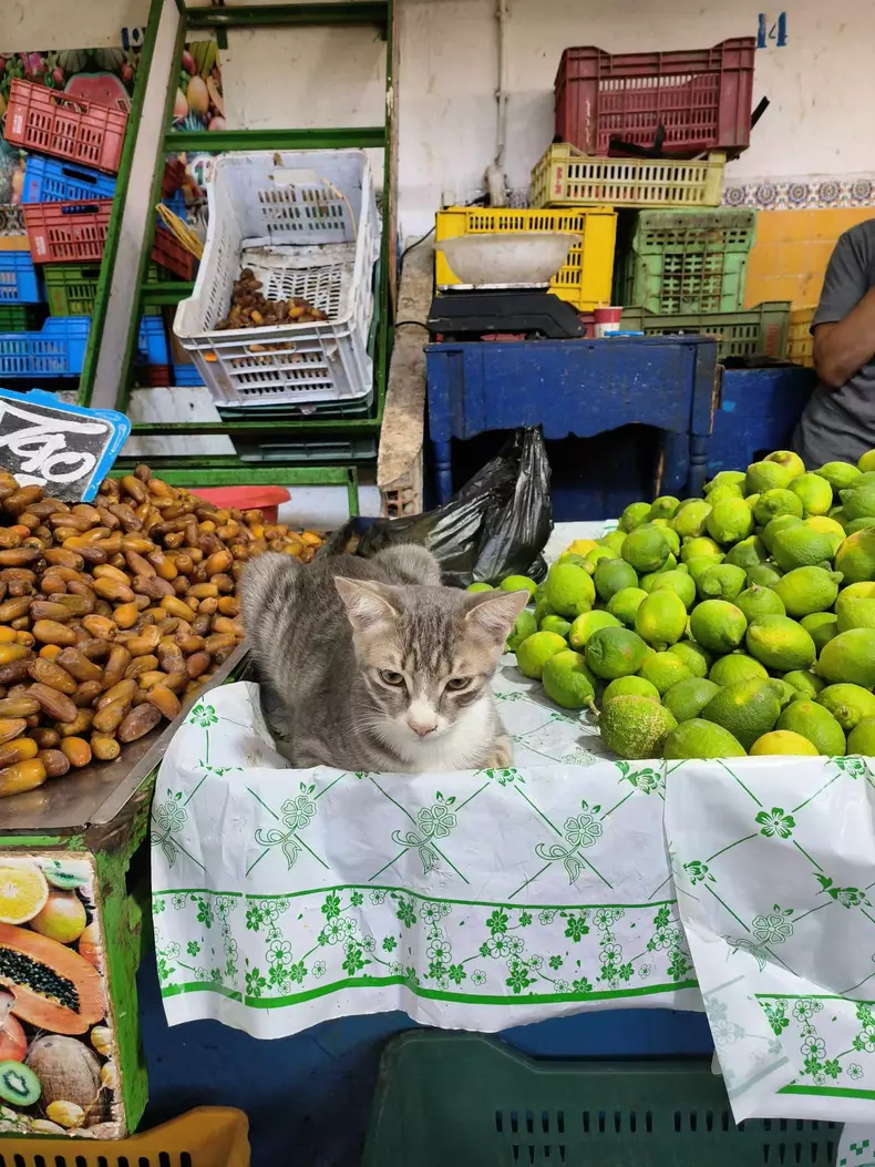 piata-tunisia-7