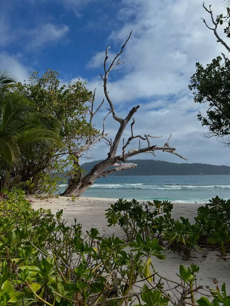 Andreea Mantea, vacanță în Seychelles  (2)