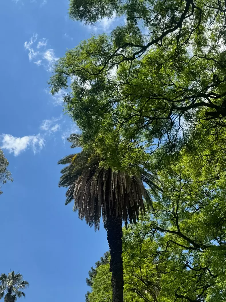 ianca-simion-buenos-aires (16)