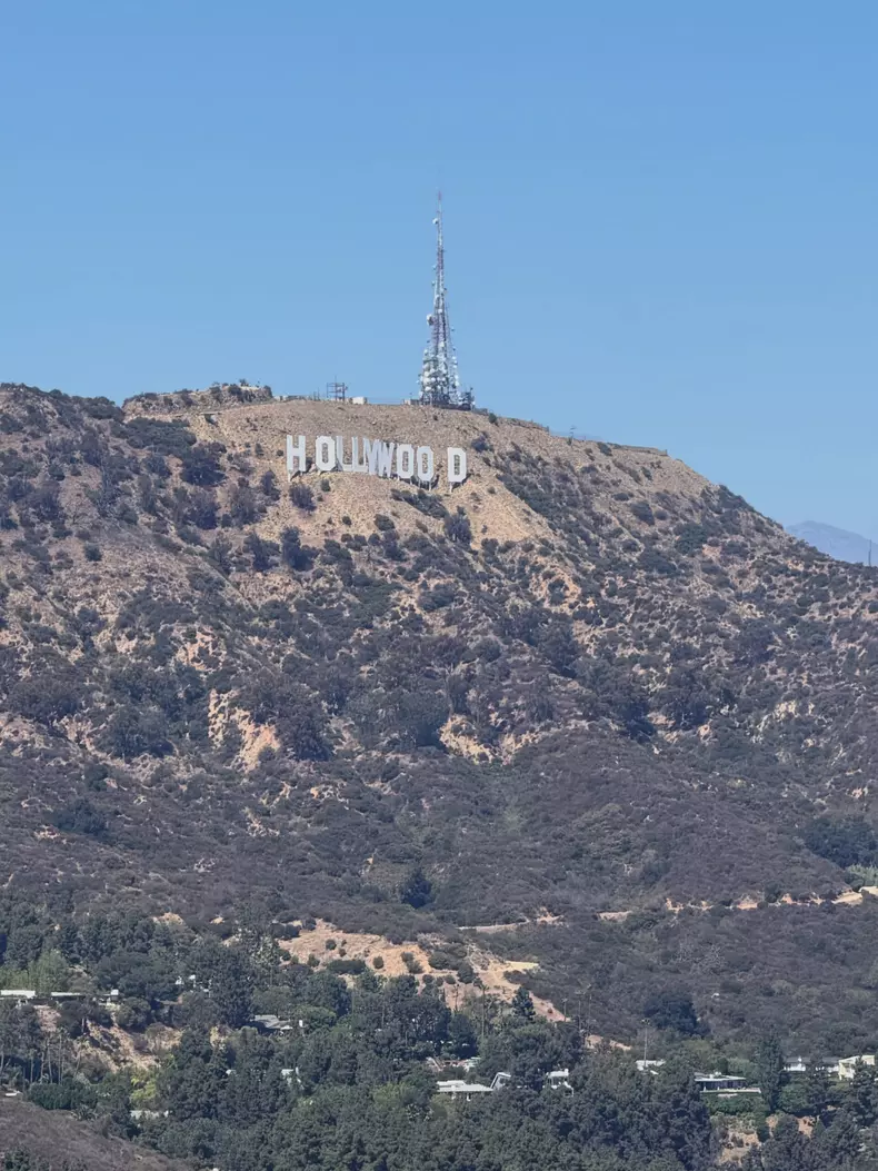 Adi-Vasile-Los-Angeles-6