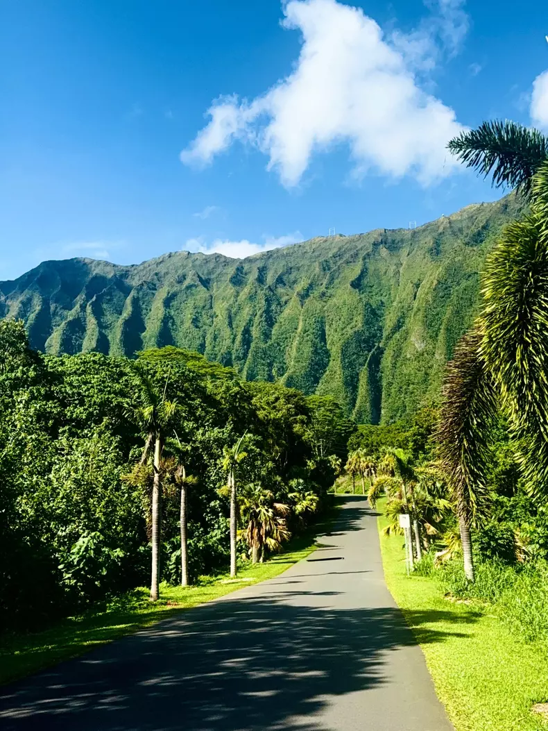 corina-caragea-hawaii-vacanta (14)