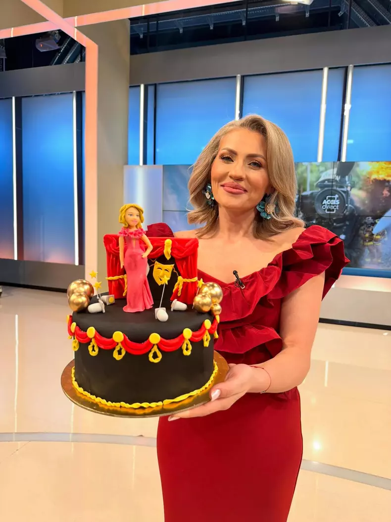 mirela vaida 2