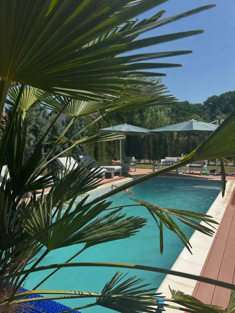 Imagini cu piscina Mirelei Vaida (1)