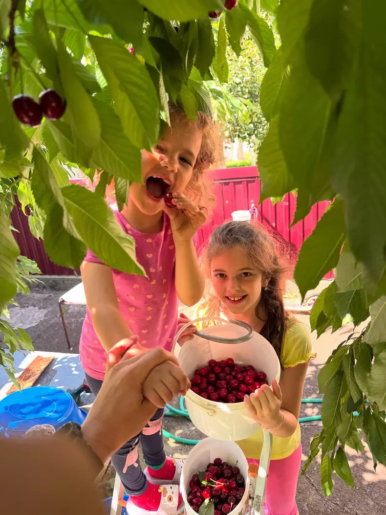 1. Fiicele lui Adrian Nartea