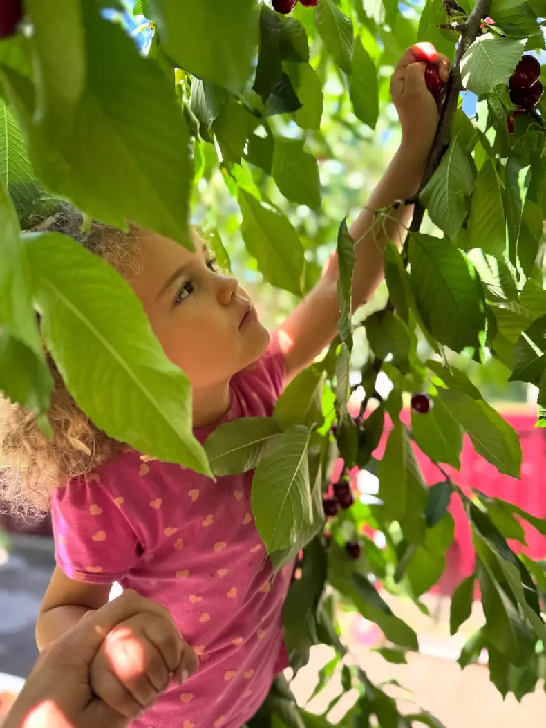 5. Fiica lui Adrian Nartea