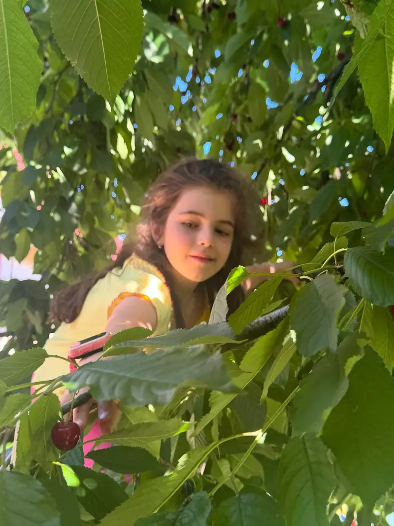 6. Fiica lui Adrian Nartea