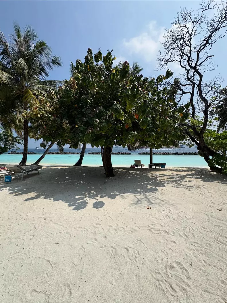 3. Theo Rose, imagini din vacanță