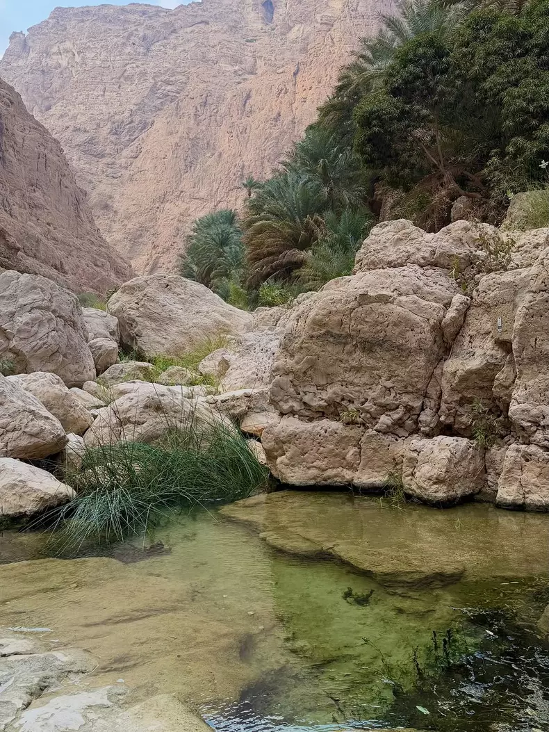 6. Imagini din vacanța Alinei Eremia