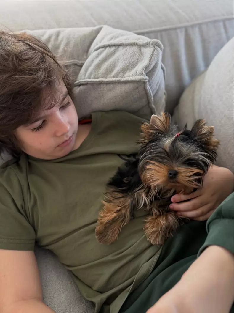 Cățelușul Andreei (2)