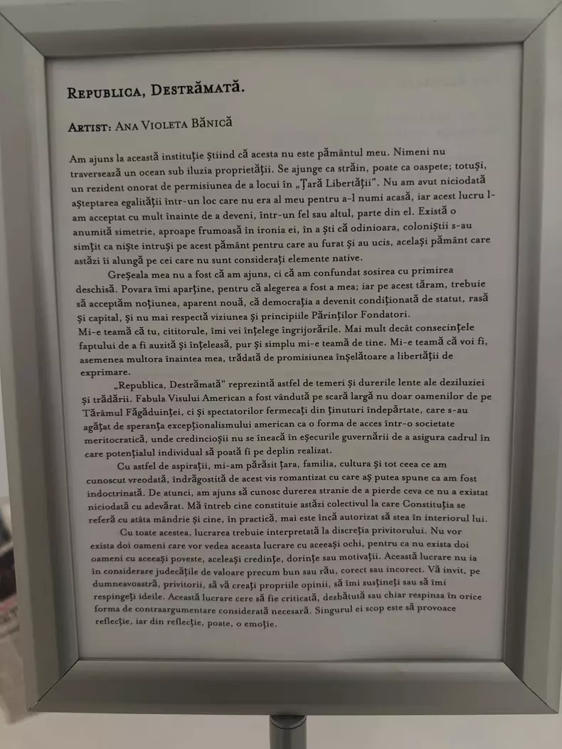 Mesajul Violetei Bănică