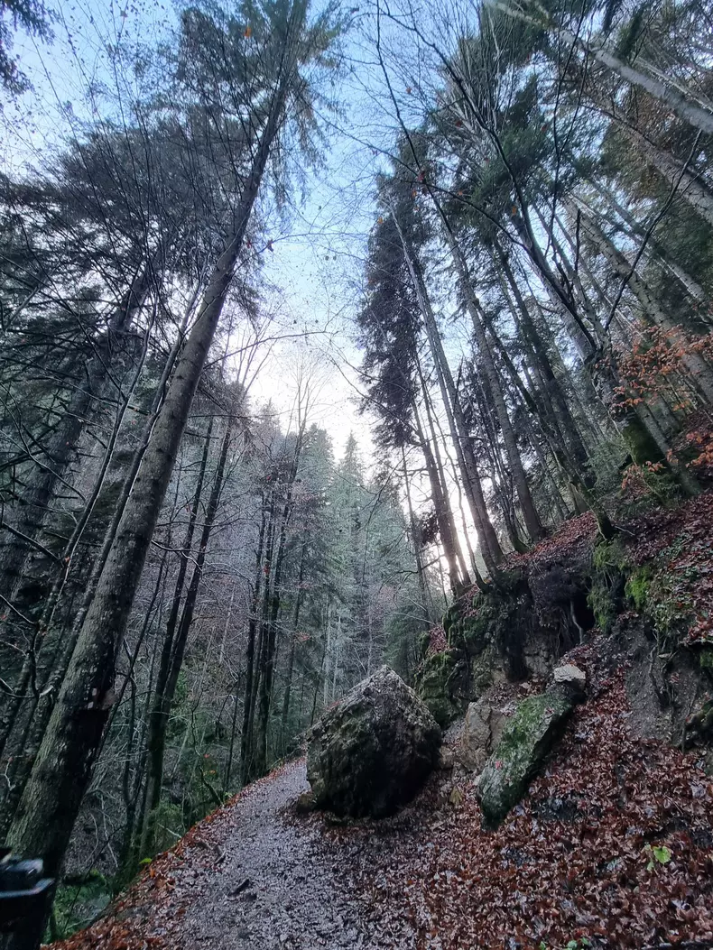 ROventura, 30 martie 2024. Bucovina, perla turismului românesc