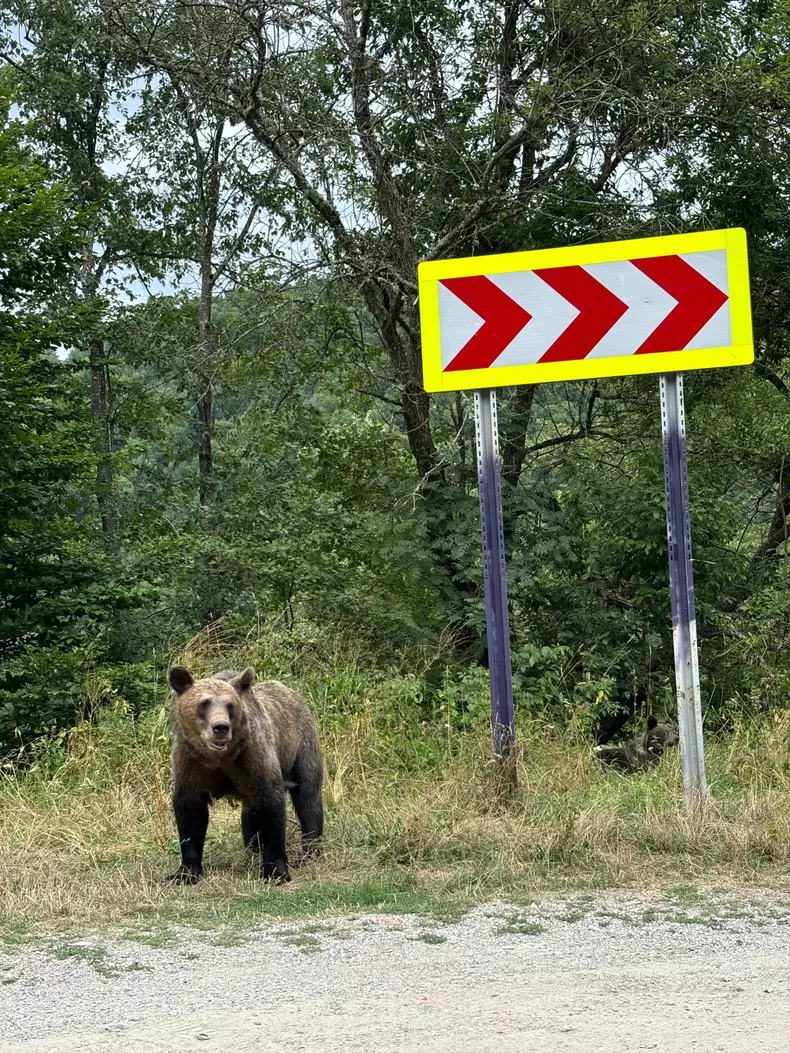 Rares Nastase Romania te iubesc 8 septembrie 2024 (3)