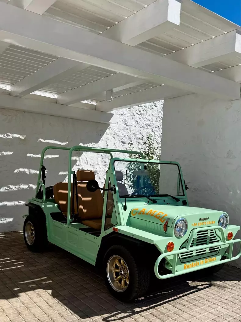 SnapInsta.to_503816045_18500382268031352_6809027223919807795_n