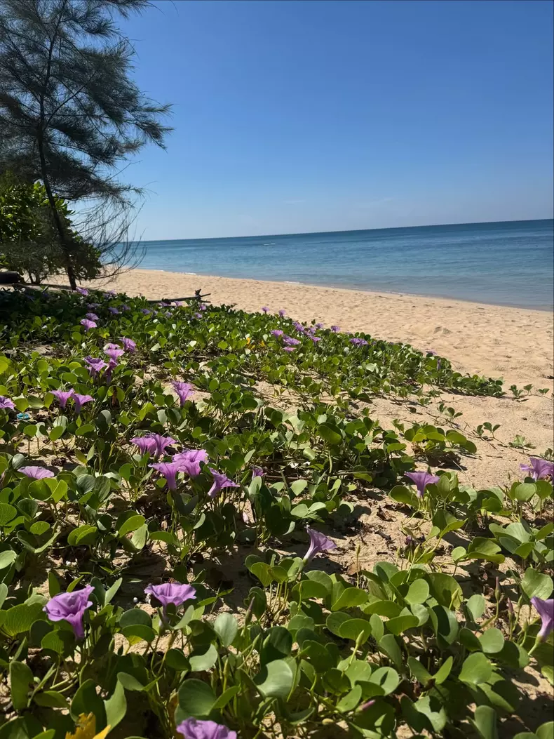 thailanda-4