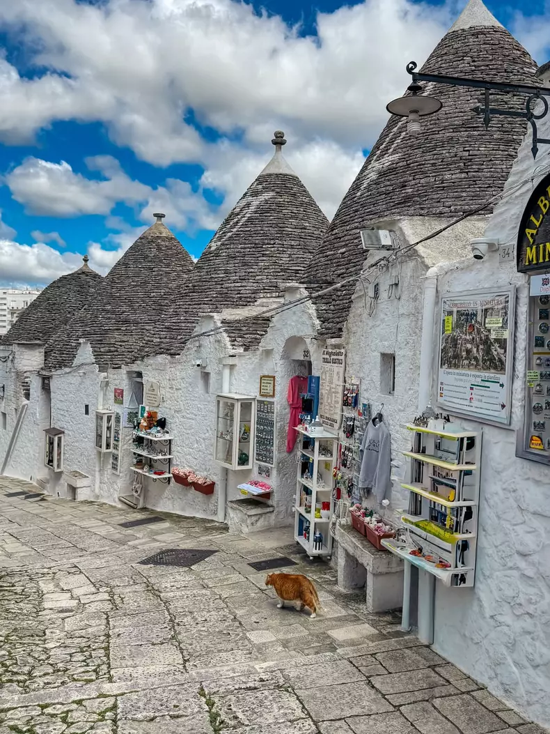 corina-caragea-vacanta-alberobello-italia-trulli-poze (17)