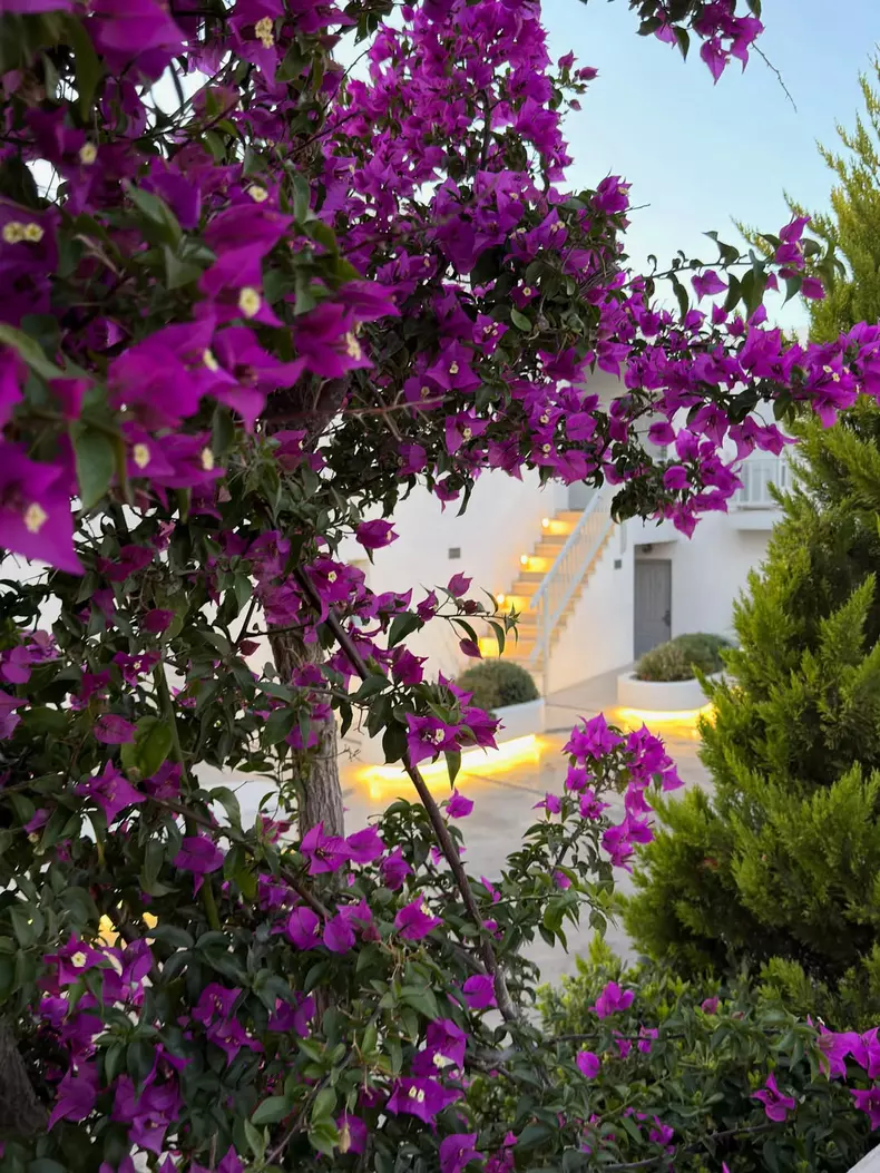 iuliana-pepene-vacanta-mykonos-imagini-grecia (7)