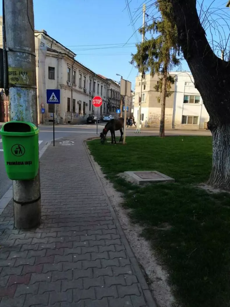 NjVkYTVjNDVjMWQ1MjUyN2Q5NmU1YTMxMWIzNWE4.thumb_