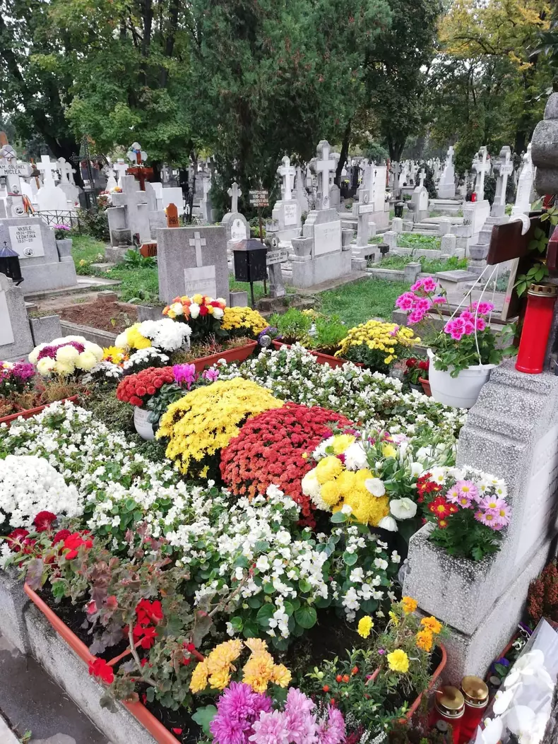 Mihai-Constantinescu-3