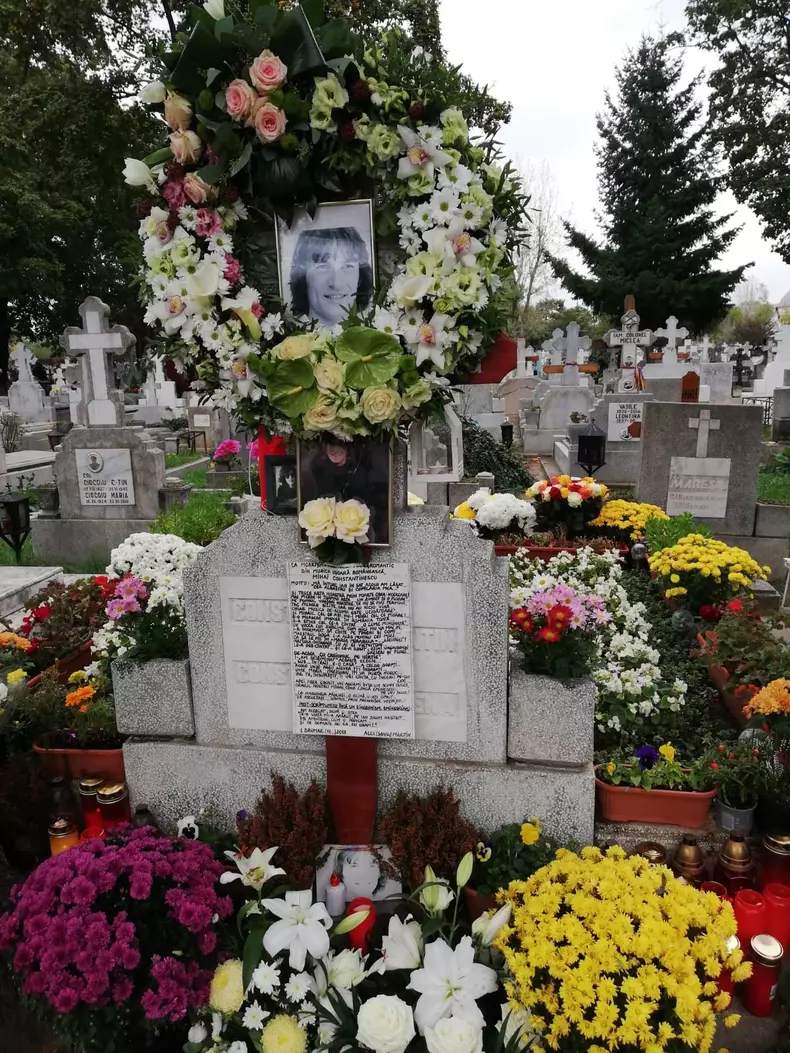 Mihai-Constantinescu-4