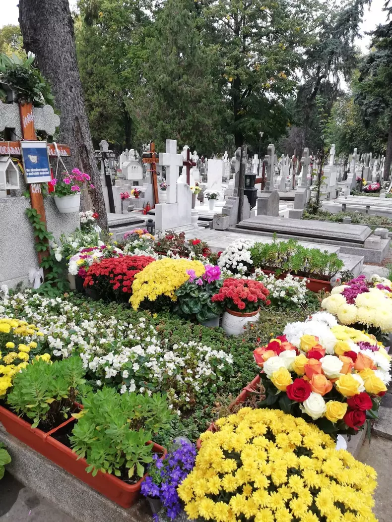 Mihai-Constantinescu-5