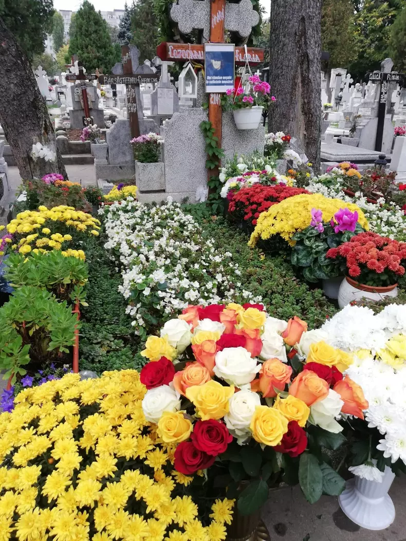 Mihai-Constantinescu-7