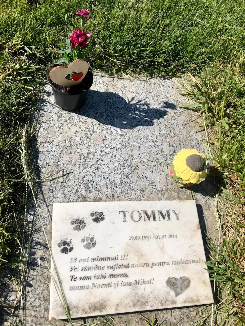 mihai-mitoseru-si-noemi-surprinsi-impreuna-2