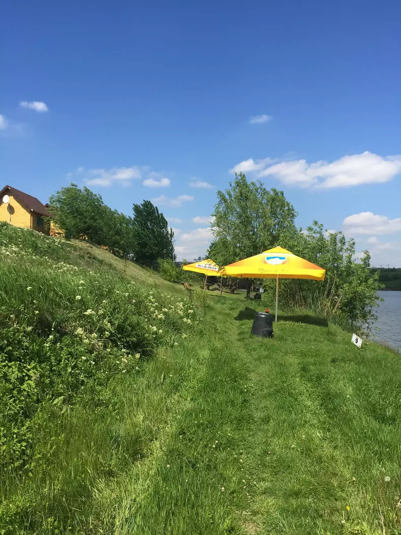 AFACEREA DESCHISA DE DAN BITTMAN