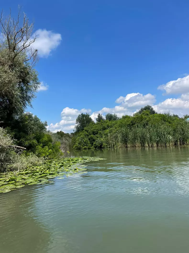 295706889_612475880236390_5458466458233700417_n