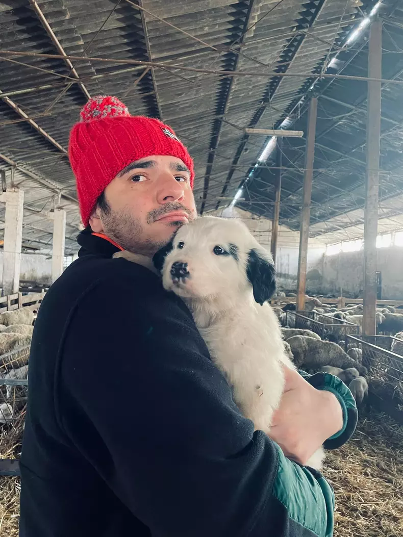 Cine-este-Alex-Bogdan-1