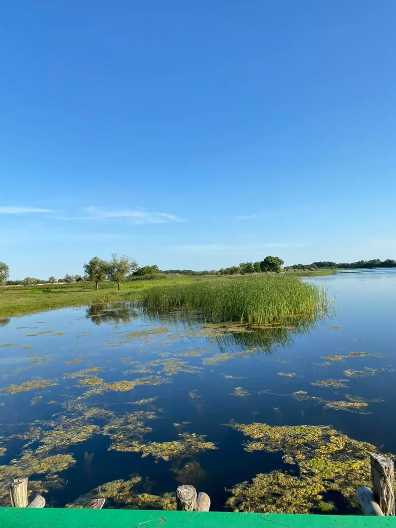 351112436_1020202342689864_820380438881785134_n