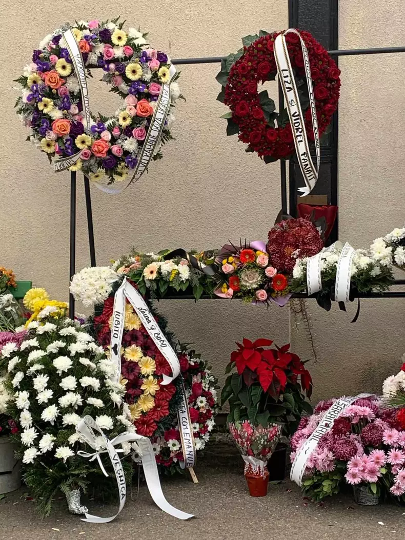 385433857_1272442506758077_911885780882926278_n-1