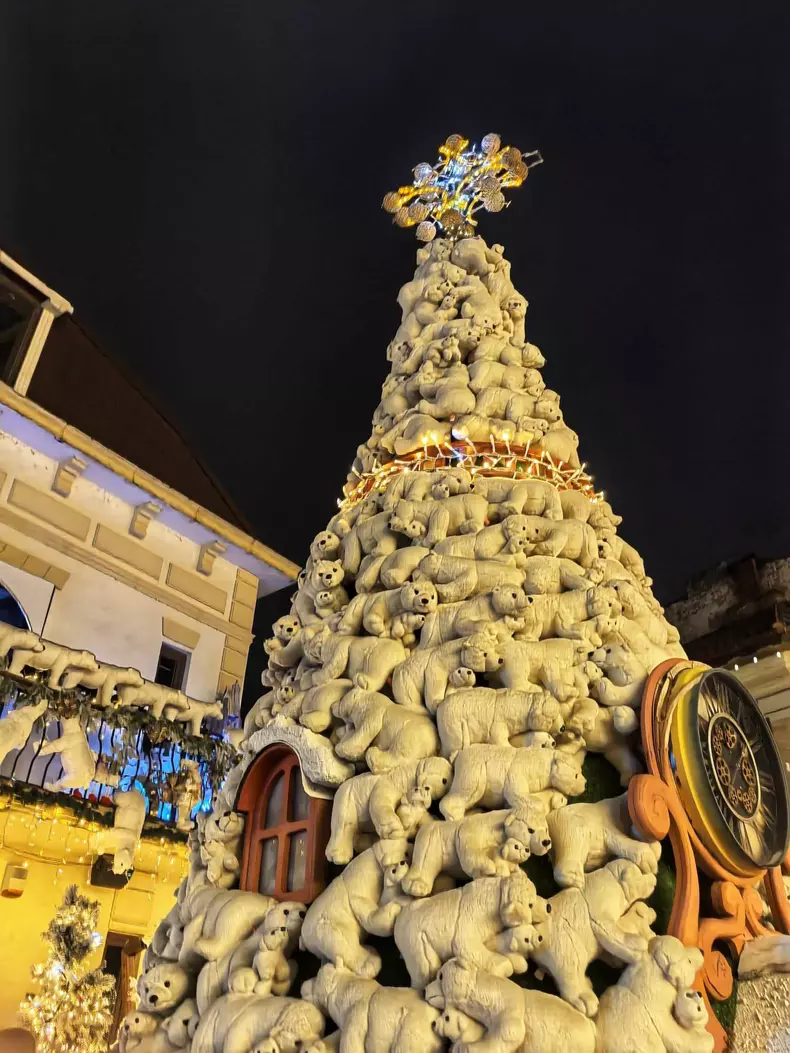 targul de craciun Craiova (10)