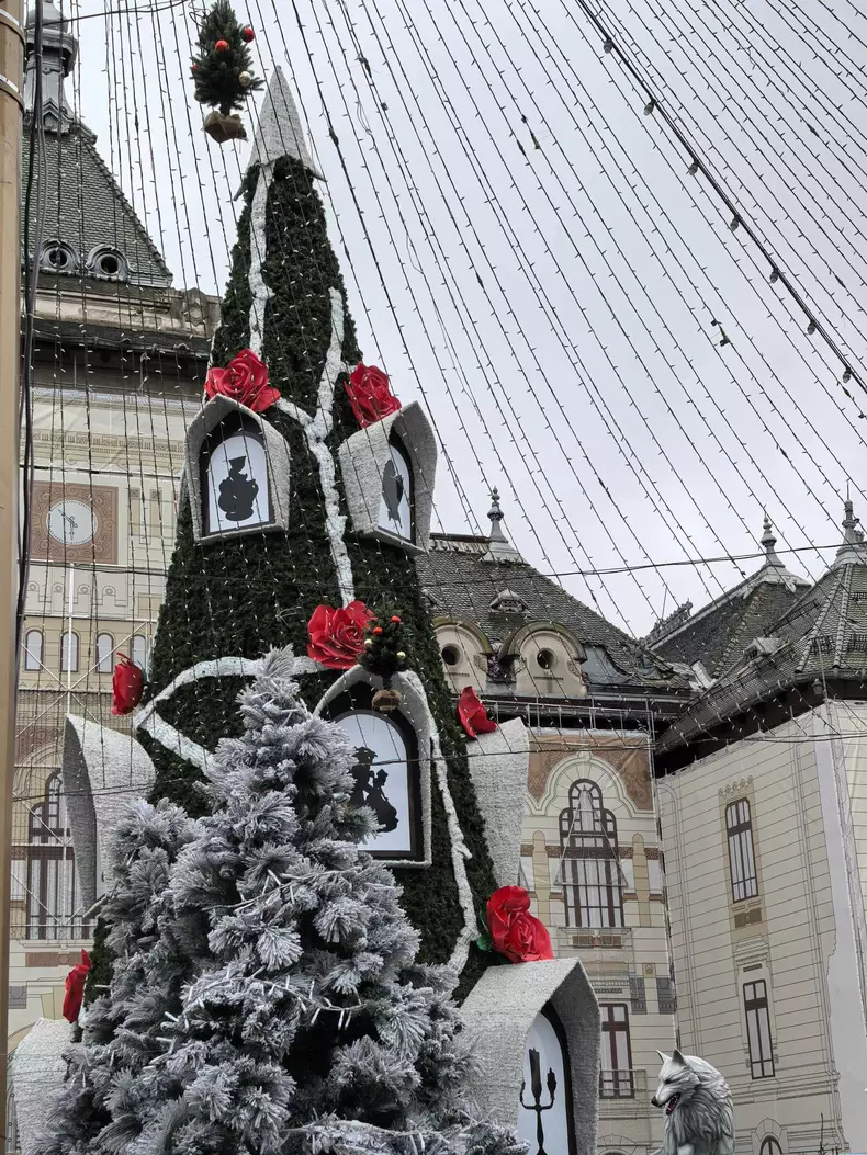 targul de craciun Craiova (12)