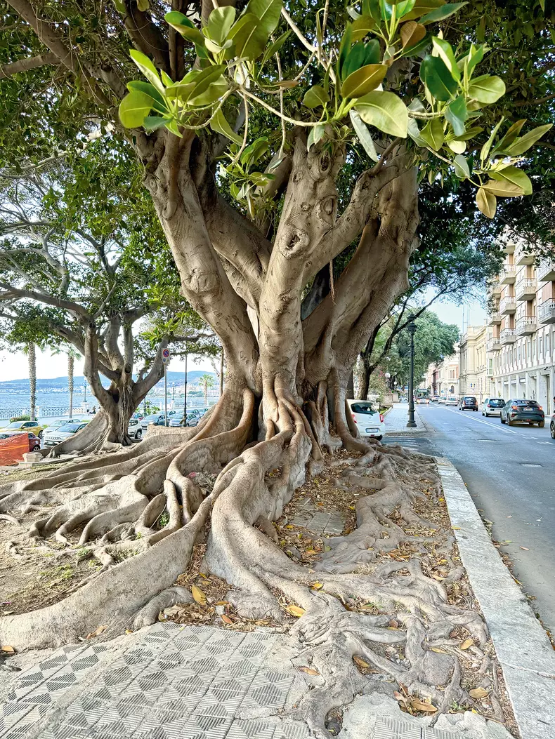 calabria (5)